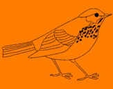 Coloring page Thrush painted bycamille40