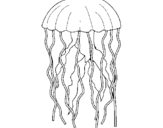 Coloring page Jellyfish painted by,,,