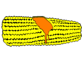 Coloring page Corncob painted bynicolas