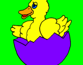 Coloring page Duckling in shell painted byadi