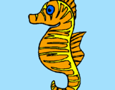 Coloring page Sea horse painted bycharlotte