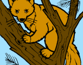 Coloring page Pine marten in tree painted byMarga
