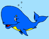Coloring page Bashful whale painted byadi