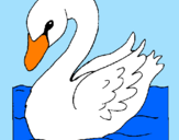 Coloring page Swan painted bynadia