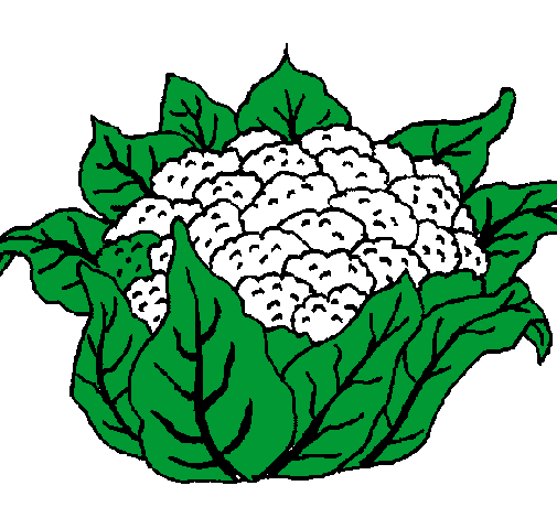 Colored page cauliflower painted by emily