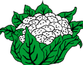 Coloring page cauliflower painted byemily