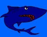 Coloring page Shark painted byti
