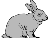 Coloring page Hare painted byBERTA