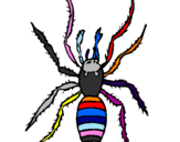 Coloring page Spitting spider painted bykitty  