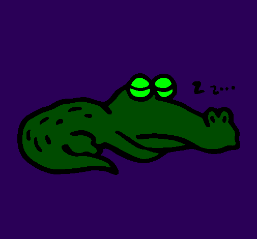 Sleeping crocodile