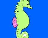 Coloring page Sea horse painted byVICTORIA SAMAI
