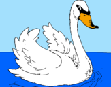 Coloring page Swan in water painted byIEVA 