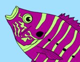 Coloring page Fish painted byGABOR