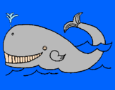 Coloring page Whale painted byGreat