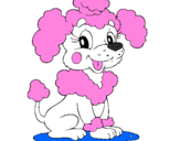 Coloring page Poodle painted byPrincess