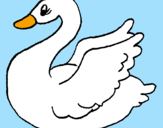 Coloring page Swan painted byviviana