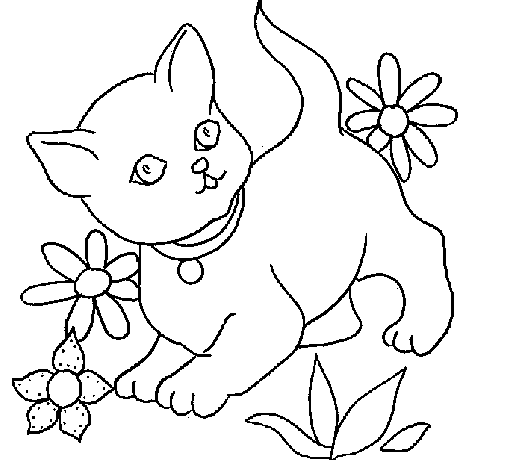 Coloring page Kitten painted bycat