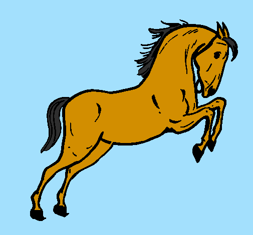 Horse jumping