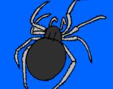 Coloring page Poisonous spider painted byyulitza