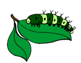 Coloring page Caterpillar on leaf painted byelian