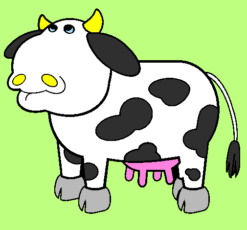 Thoughtful cow