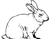 Coloring page Hare painted bySanti