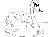 Coloring page Swan in water painted byyuan