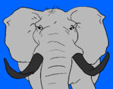 Coloring page African elephant painted bycricri