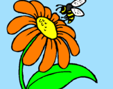 Coloring page Daisy with bee painted bymoshi count