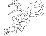 Coloring page Almond flower painted byumbrella