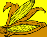 Coloring page Corncob painted byemily