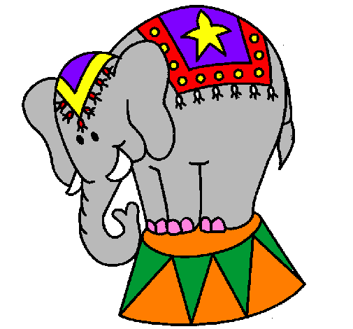 Performing elephant