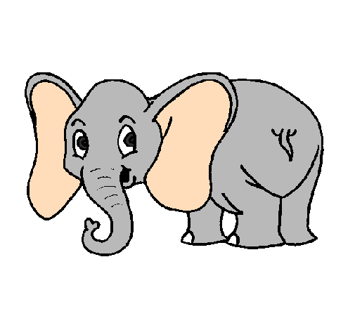 Little elephant
