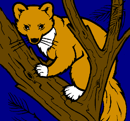 Colored page Pine marten in tree painted by elian
