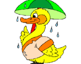 Coloring page Duck in the rain painted byluna