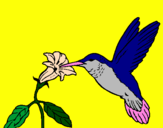 Coloring page Hummingbird and flower painted byTiger Tails