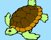 Coloring page Turtle painted bykristyn
