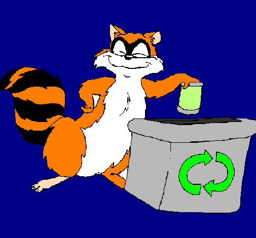 Raccoon recycling