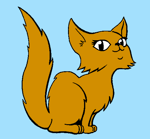 perian cat cartoon