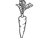 Coloring page carrot painted bybrenda