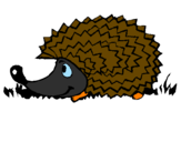 Coloring page Hedgehog painted byhedeoag