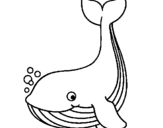 Coloring page Little whale painted byyuan