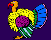 Coloring page Turkey painted byMichelle
