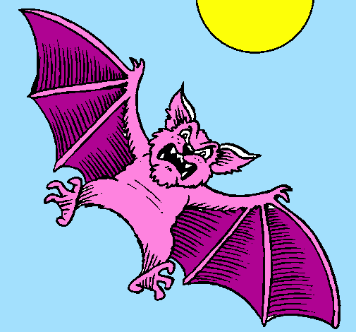 Dog-like bat