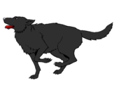 Coloring page Dog running painted byLone Wolf