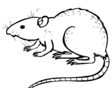 Coloring page Underground rat painted byunder ground logo