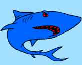 Coloring page Shark painted byesujs