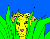 Coloring page Cheetah painted bybethany
