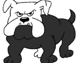 Coloring page Bulldog painted byFELIPE