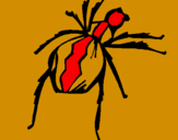 Coloring page Black Widow spider painted bynicolò